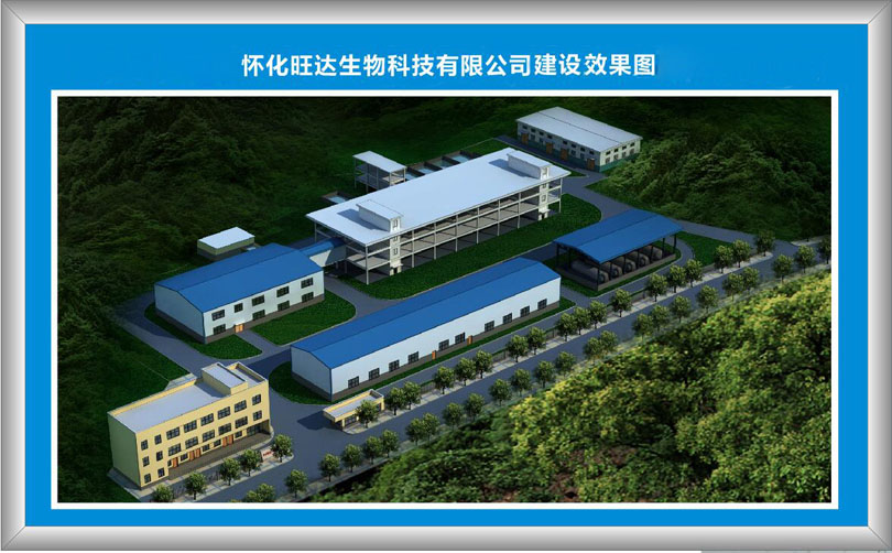 博富网页版登录入口